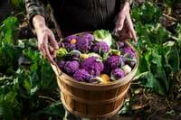 Cauliflower is blooming in Charleston area, providing a bouquet of options for home cooks