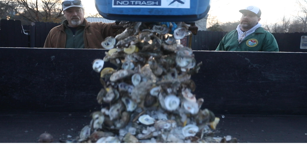 "It starts with oysters" The recycling program for Charleston's favorite bivalve mollusk
