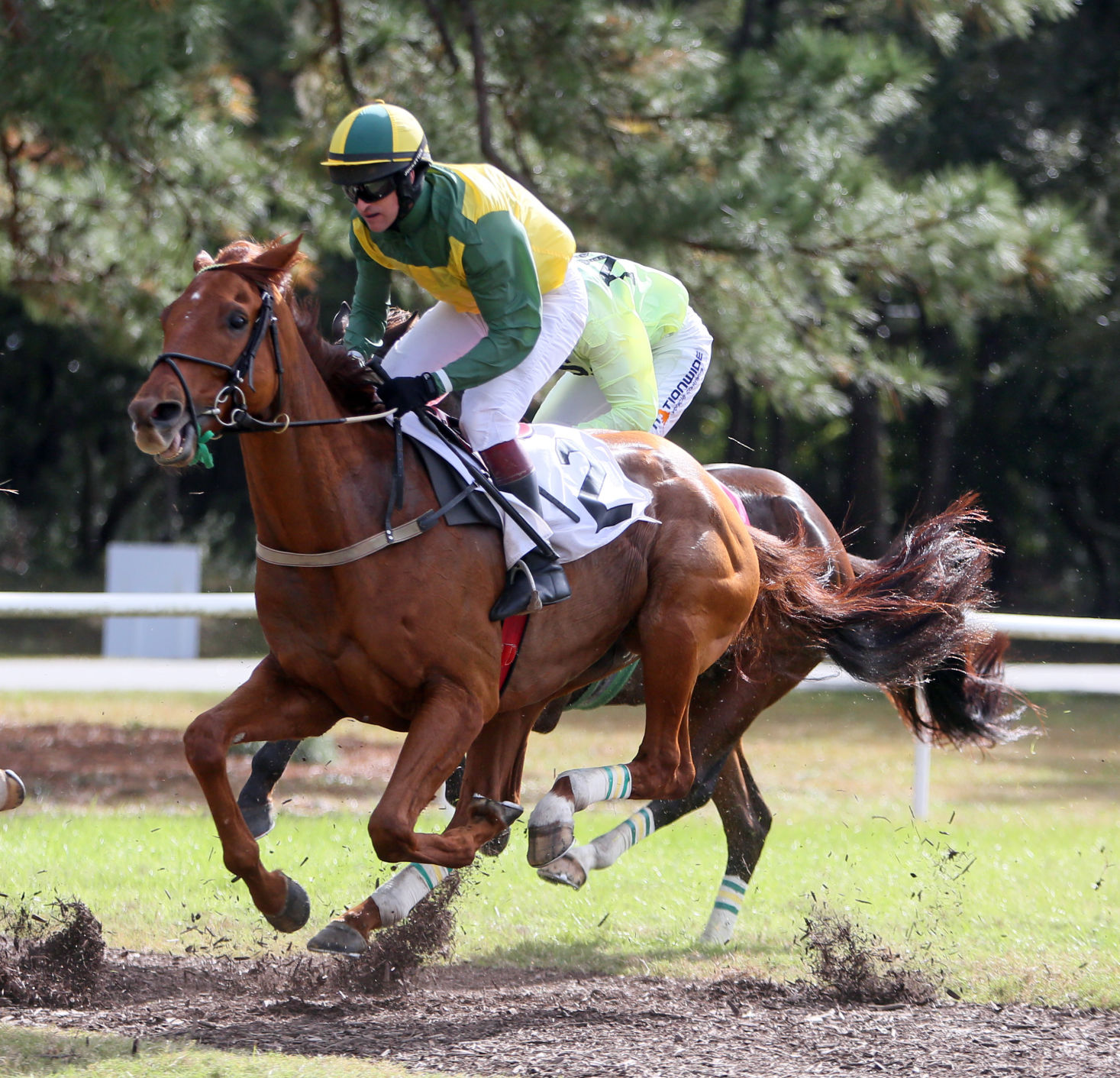 National Steeplechase Ends In Charleston, Where Horse Race History ...