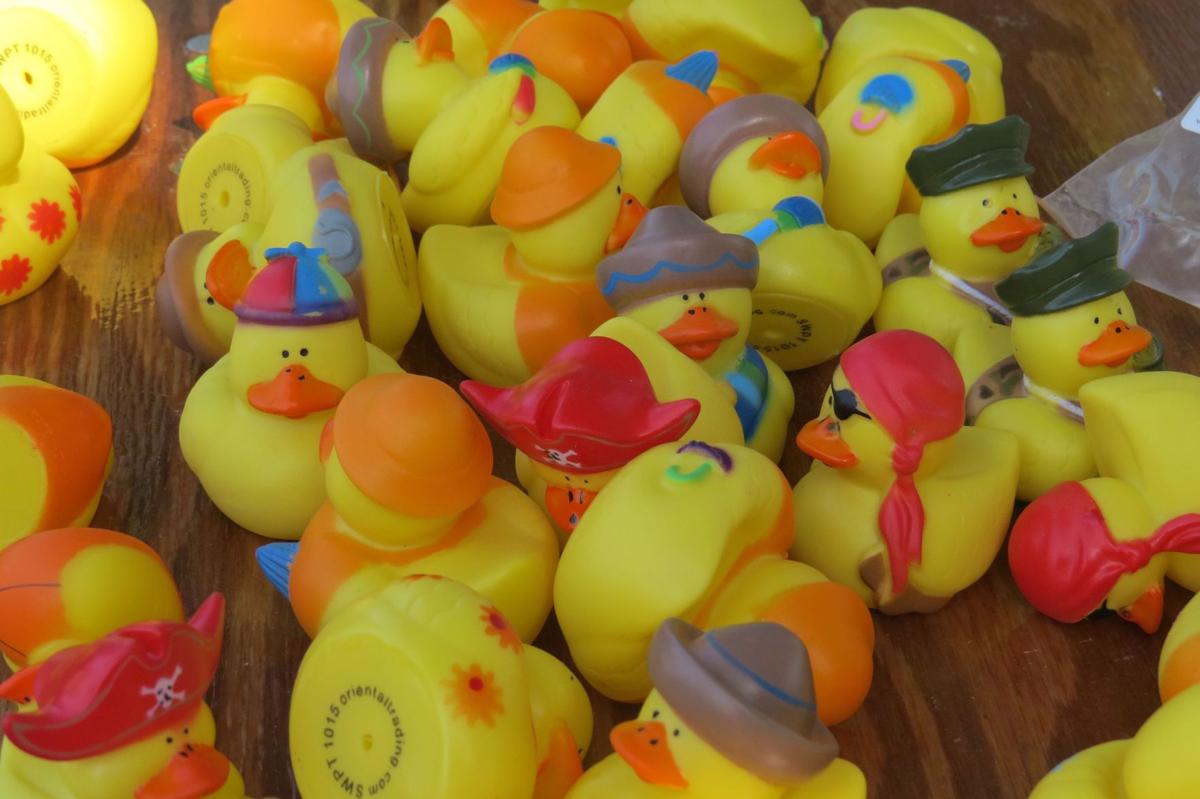 10th Annual Rotary Charity Duck Race