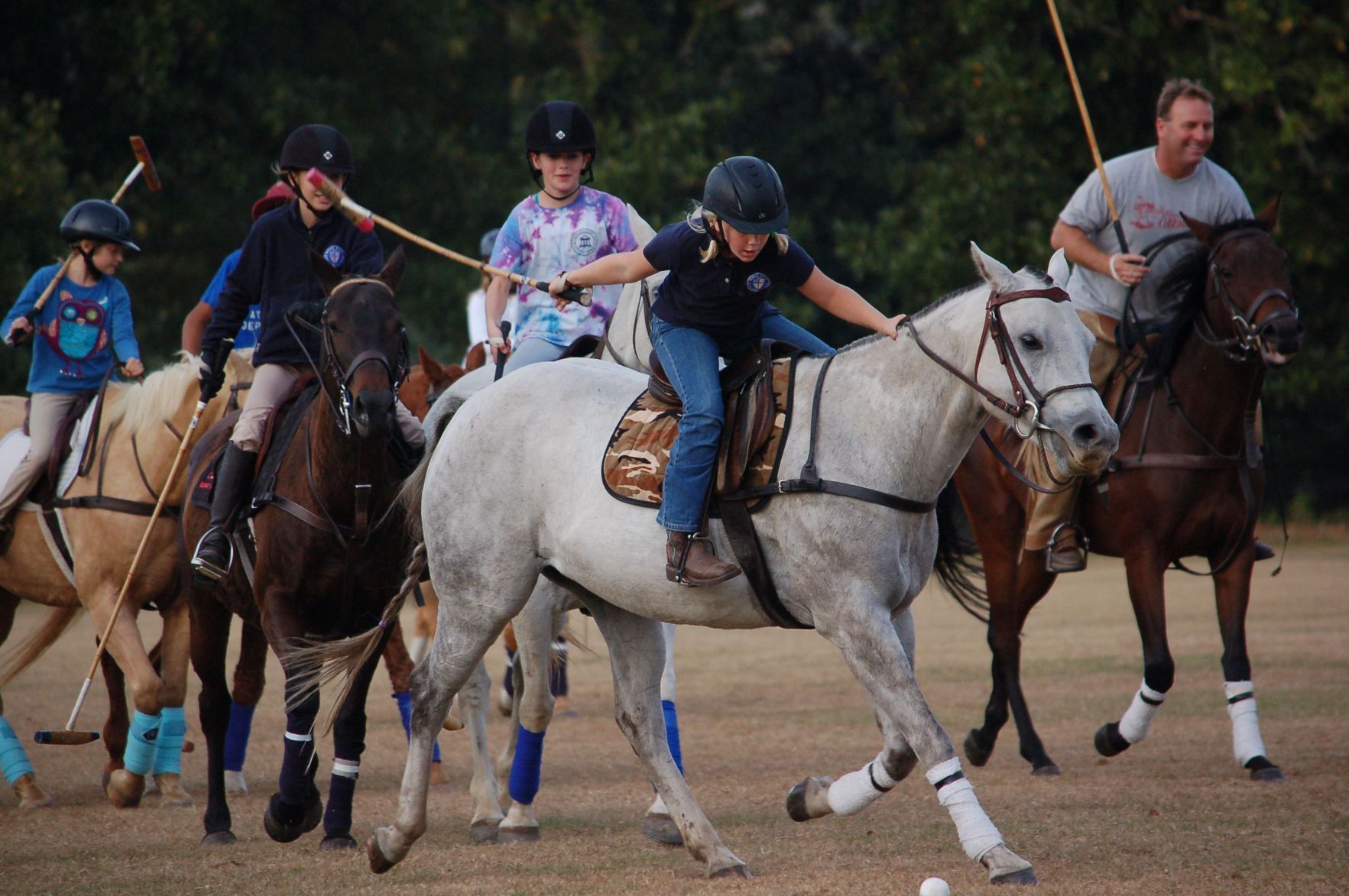 horse polo near me