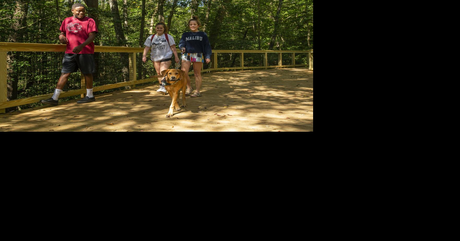 Dog ban being considered for parts of Congaree National Park Columbia News