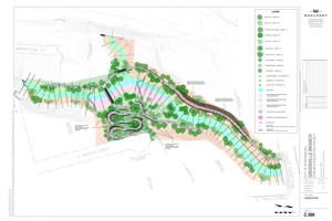 Greenville Branch Stream Stabilization