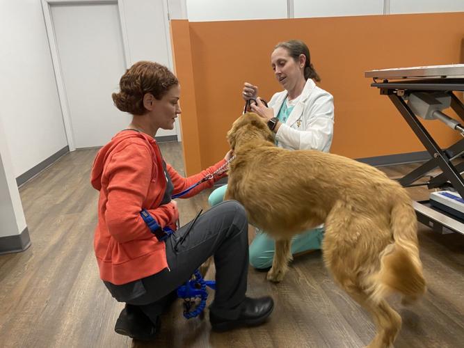VetIQ Petcare Wellness Center comes to Mount Pleasant Walmart