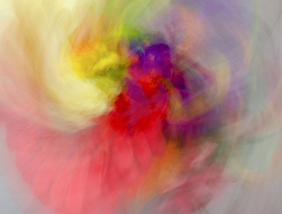 abstract albus.jpg