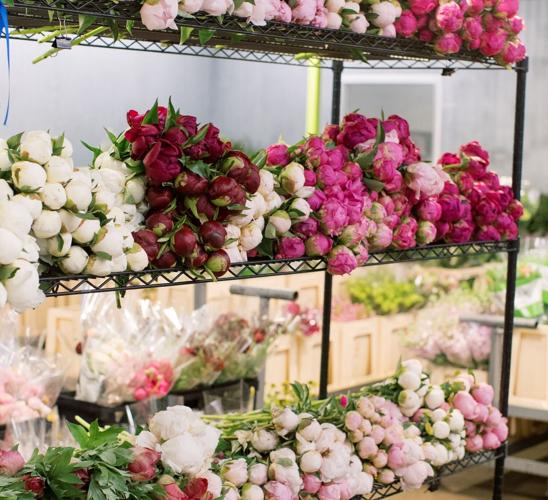 Los Angelesbased wholesale flower company to open in North Charleston