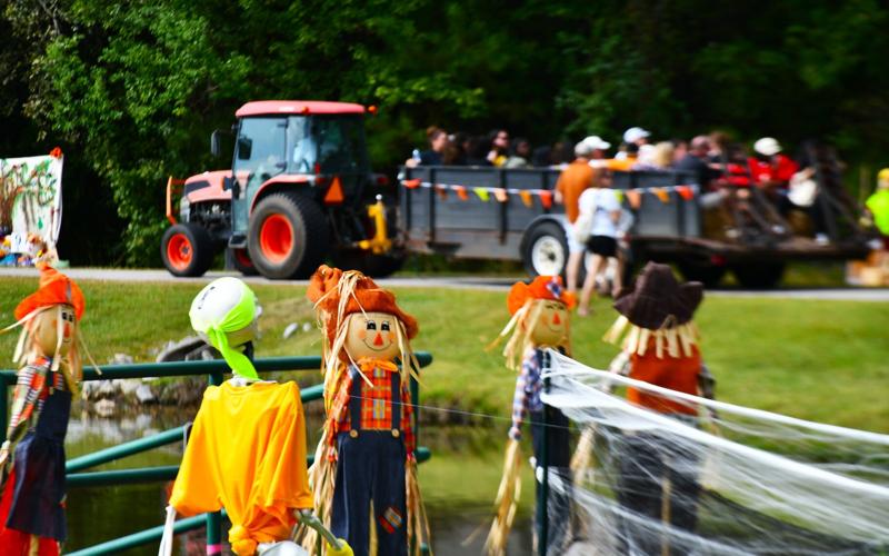 Goose Creek Fall Festival draws a crowd News