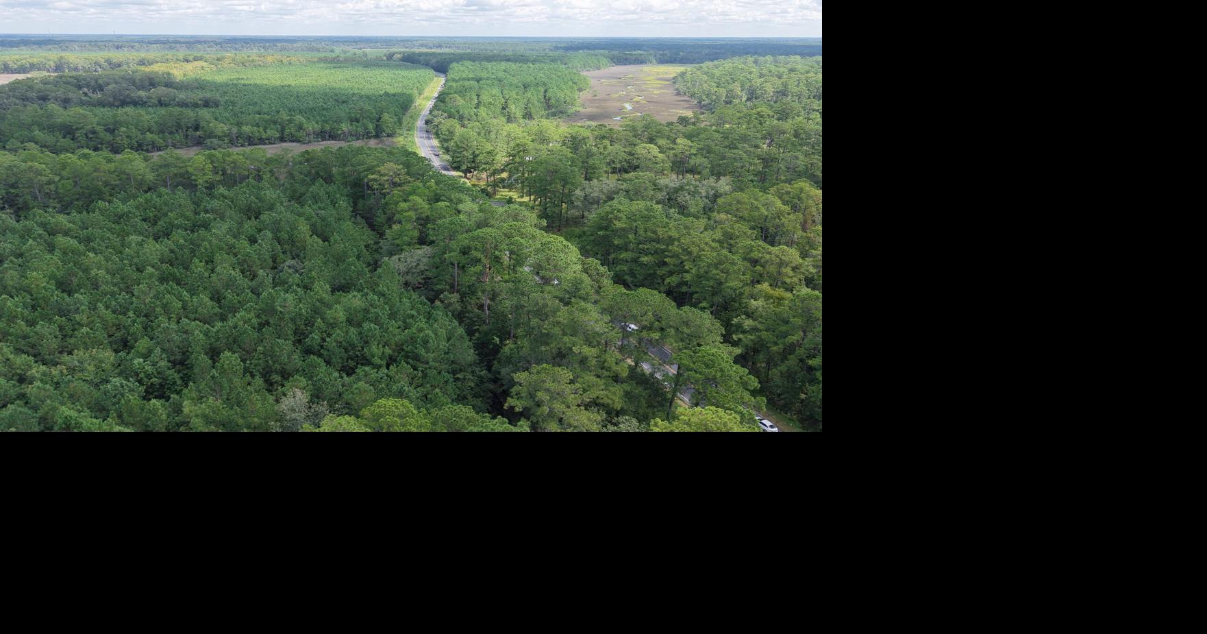 A $2M purchase saves 200 acres in the Lowcountry from development