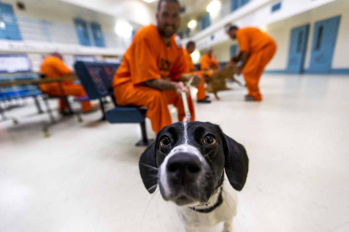 Photos Allendale Correctional Institution character based units