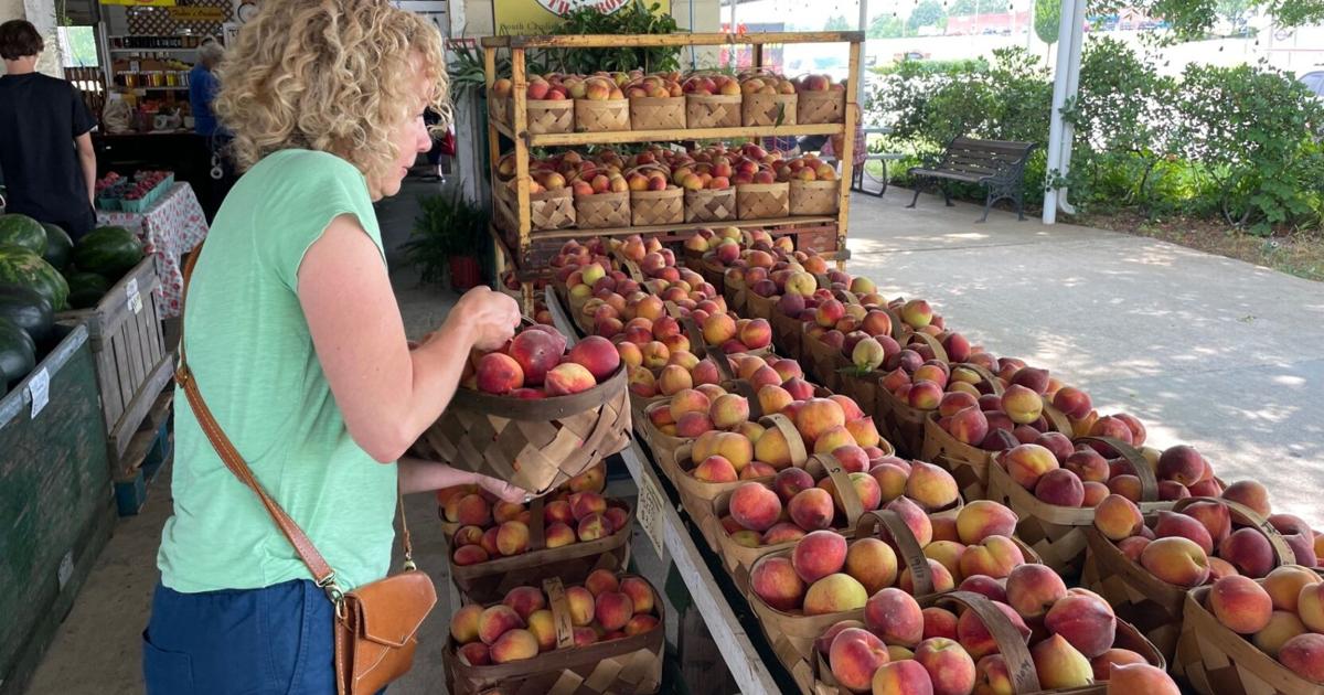 Upstate peach farmers outlook for 2025 season is bright