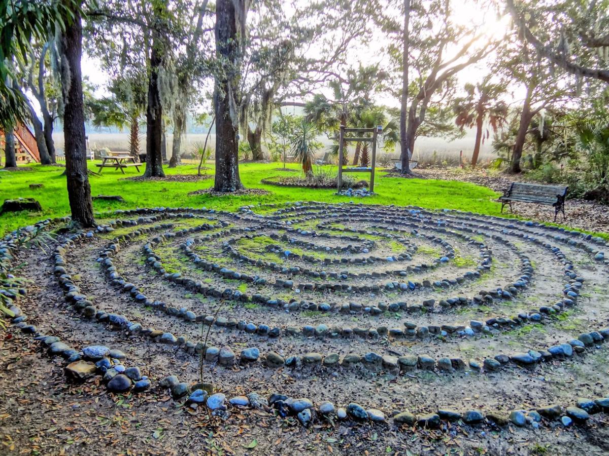 Reader photos: Tracks, trails