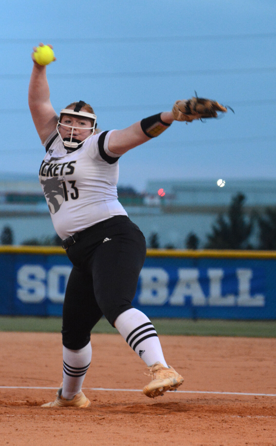AA-NAHSSoftball13.jpg