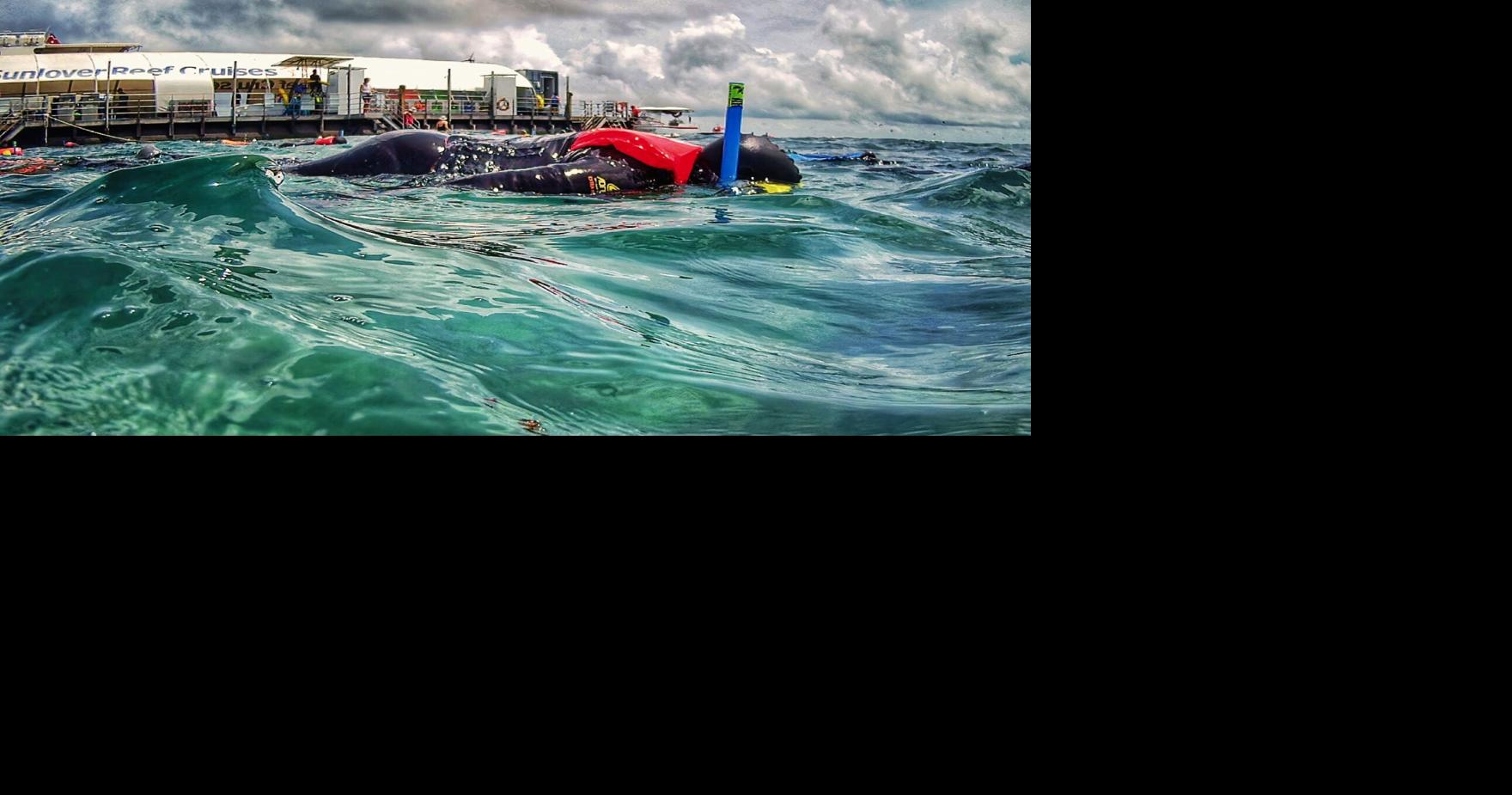 Reader photo pick of the week: Dive in