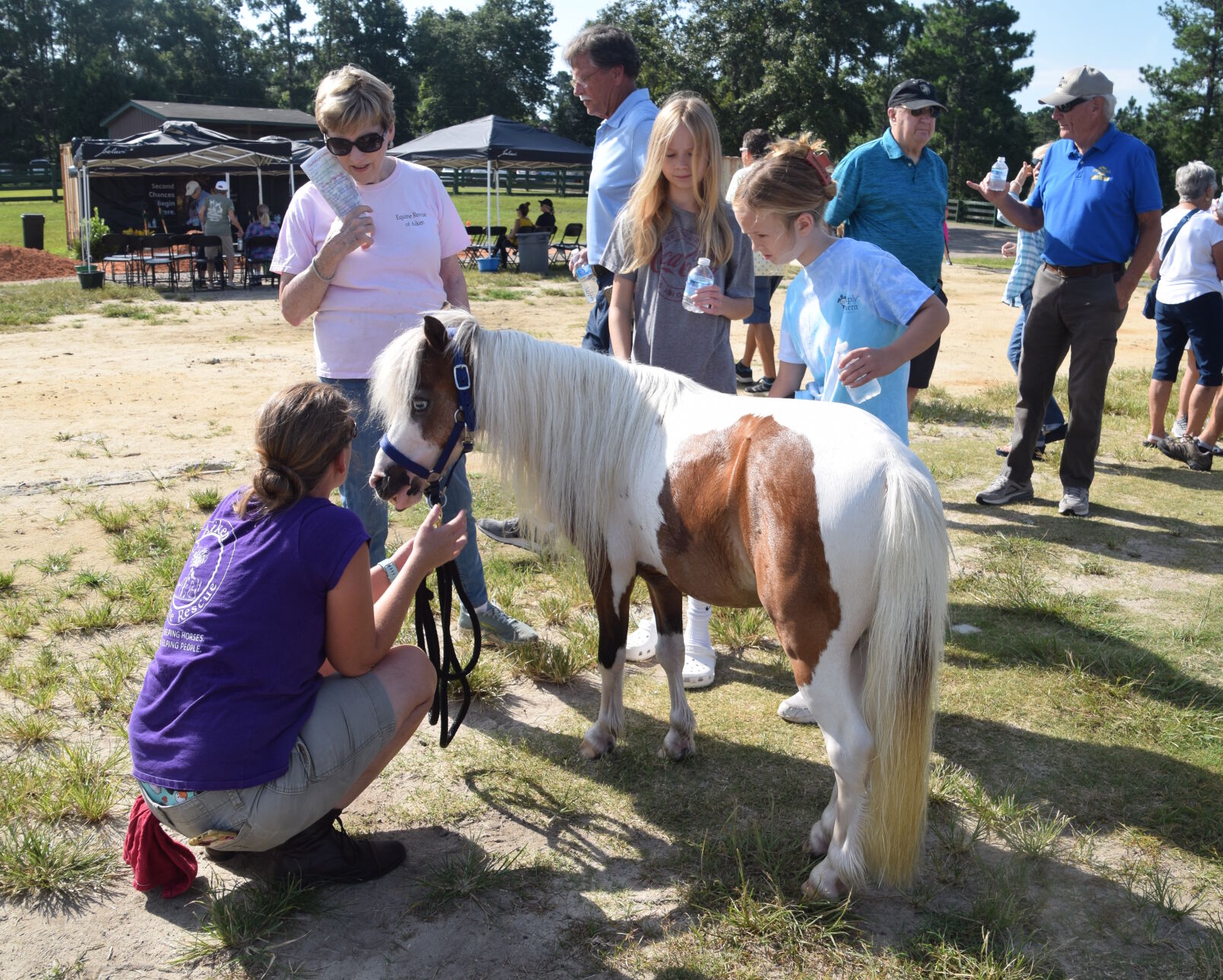 Equine Rescue Of Aiken Breaks Ground For New Rescue Center At Farm ...