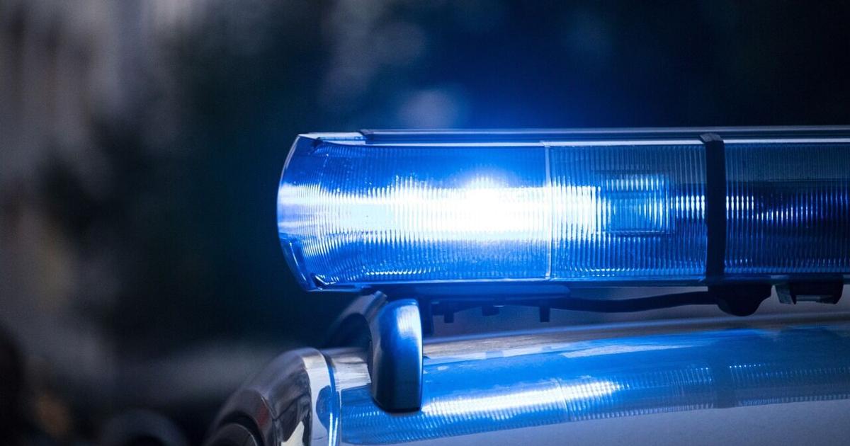 Child dies in Dorchester County dog attack