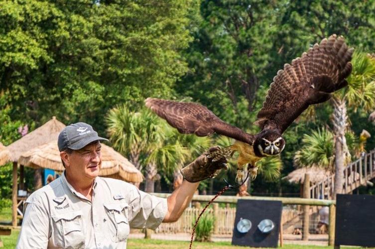 Forest Management, Education and Baseball at Georgia's Big K Farm