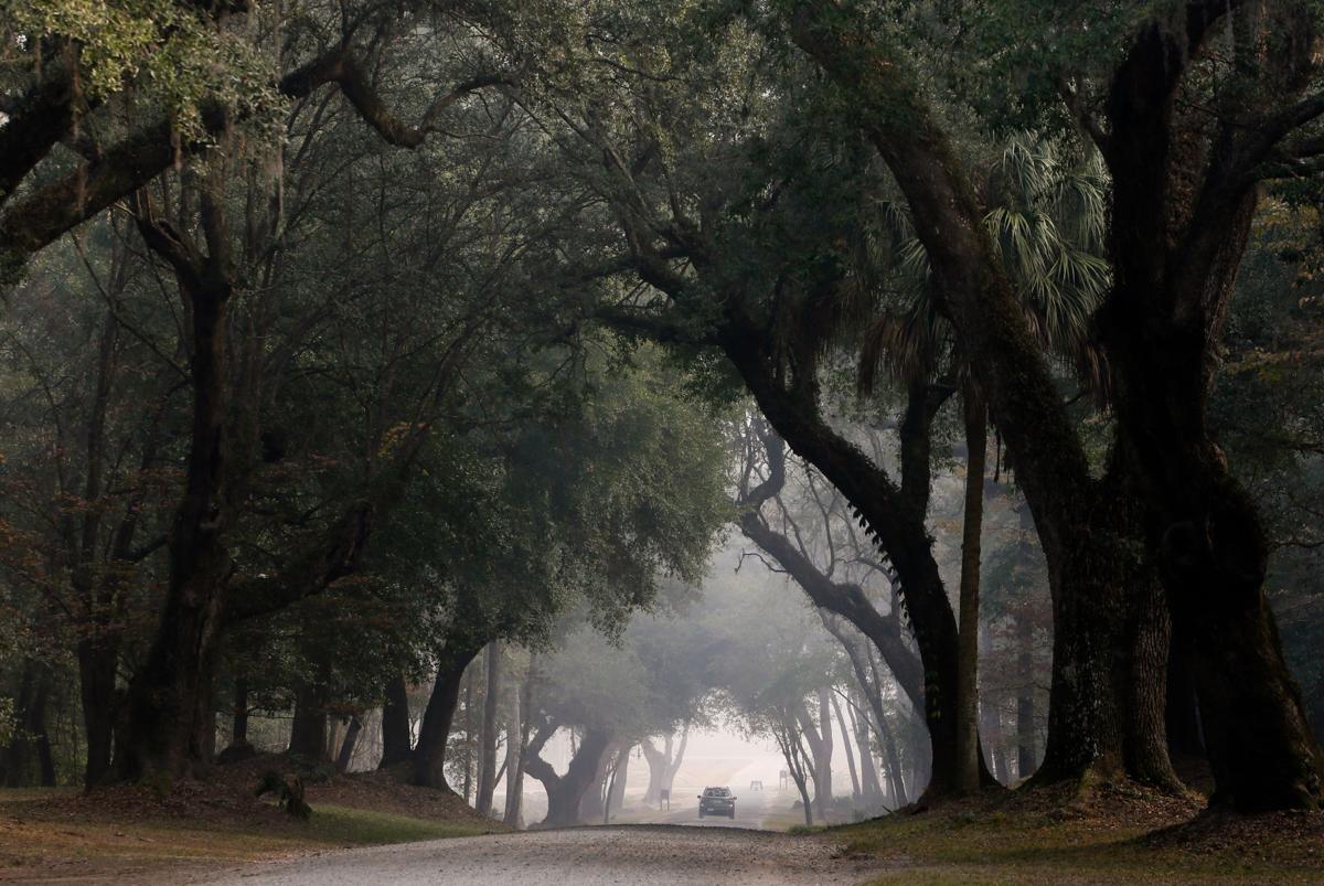 Drayton Hall