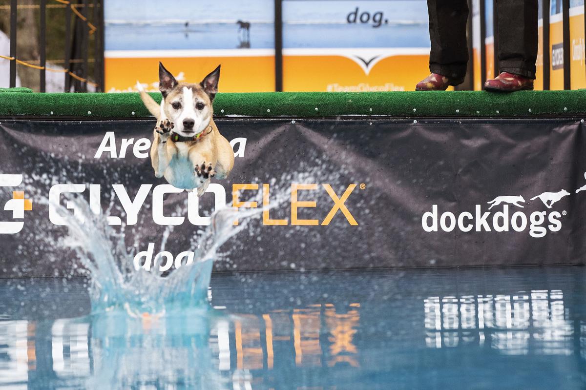 jumping in.jpg