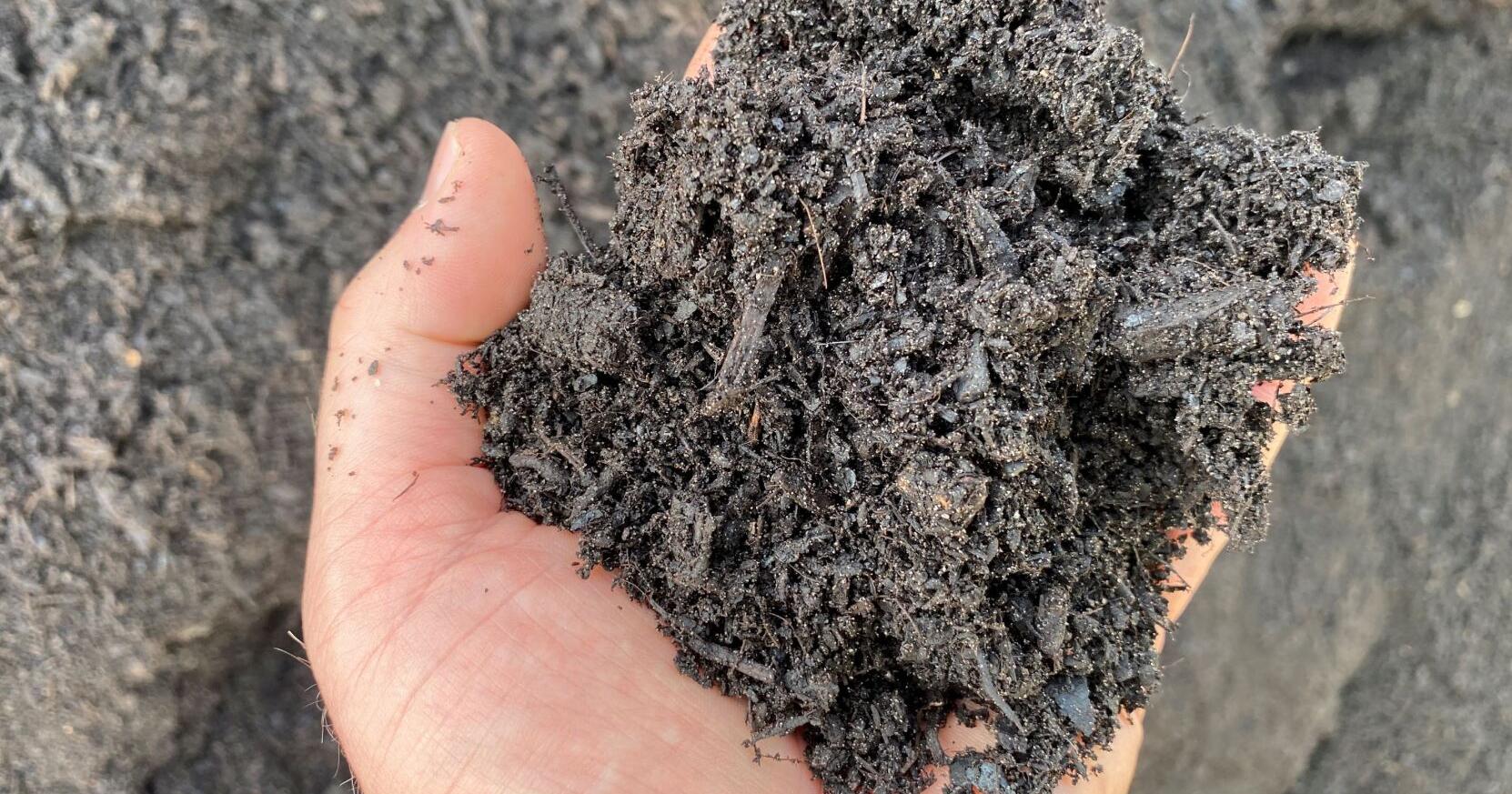 Charleston composting and how you can participate | Columnists - Vimarsana News