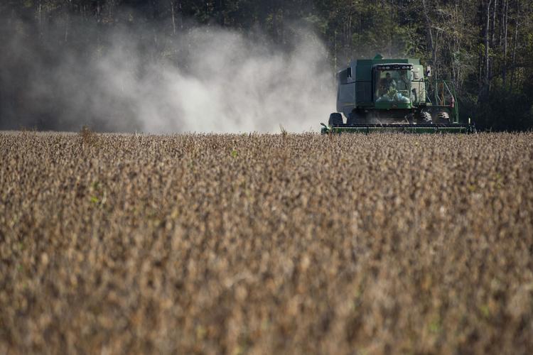 Photos: A day harvesting soybeans on Rizer Farms