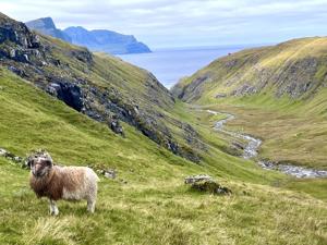 Faroe Islands