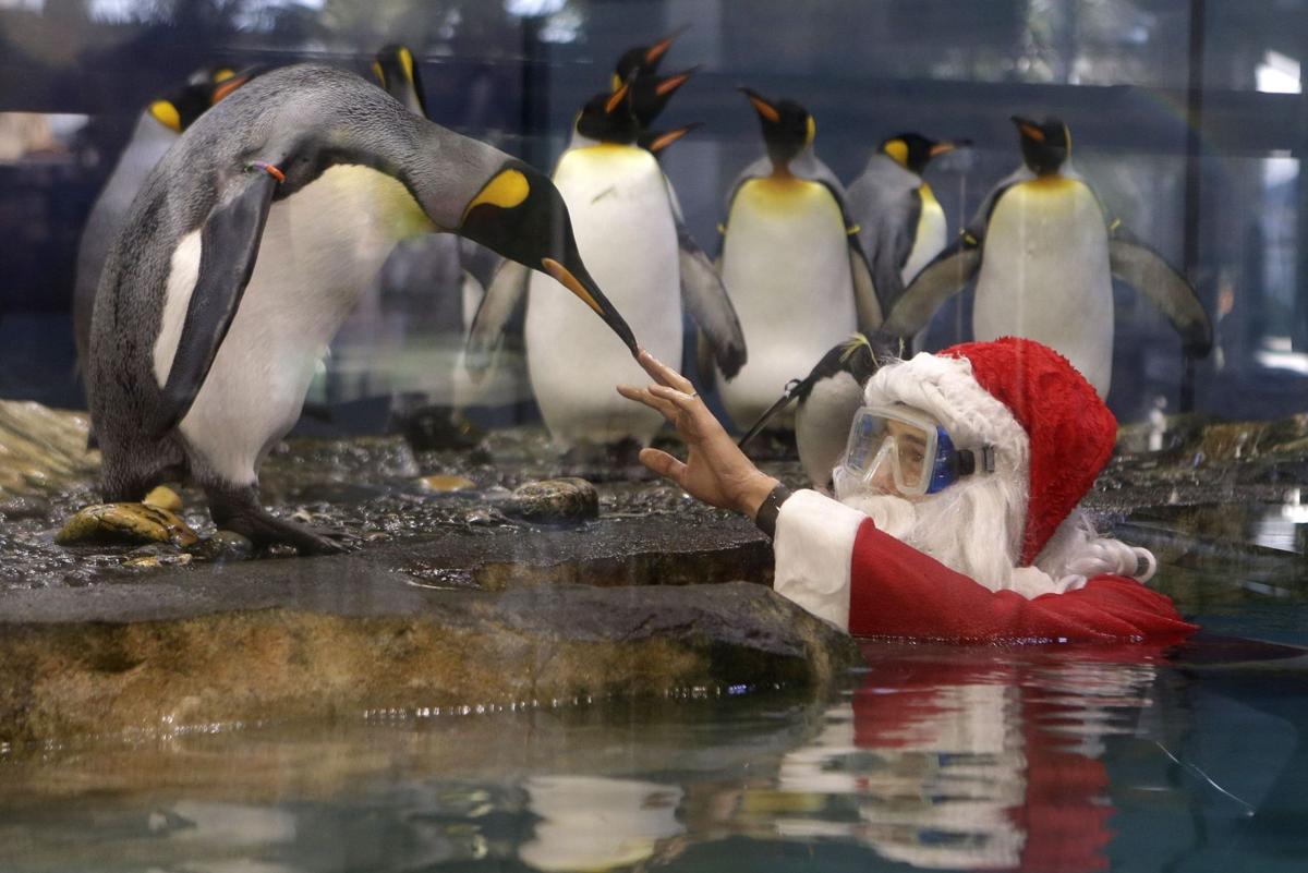 Gallery: Spirit of Santa around the world