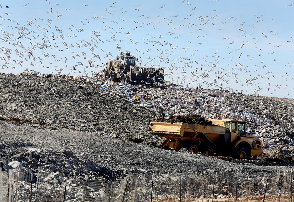 Berkeley County working to control 'rotten egg' odor at landfill News