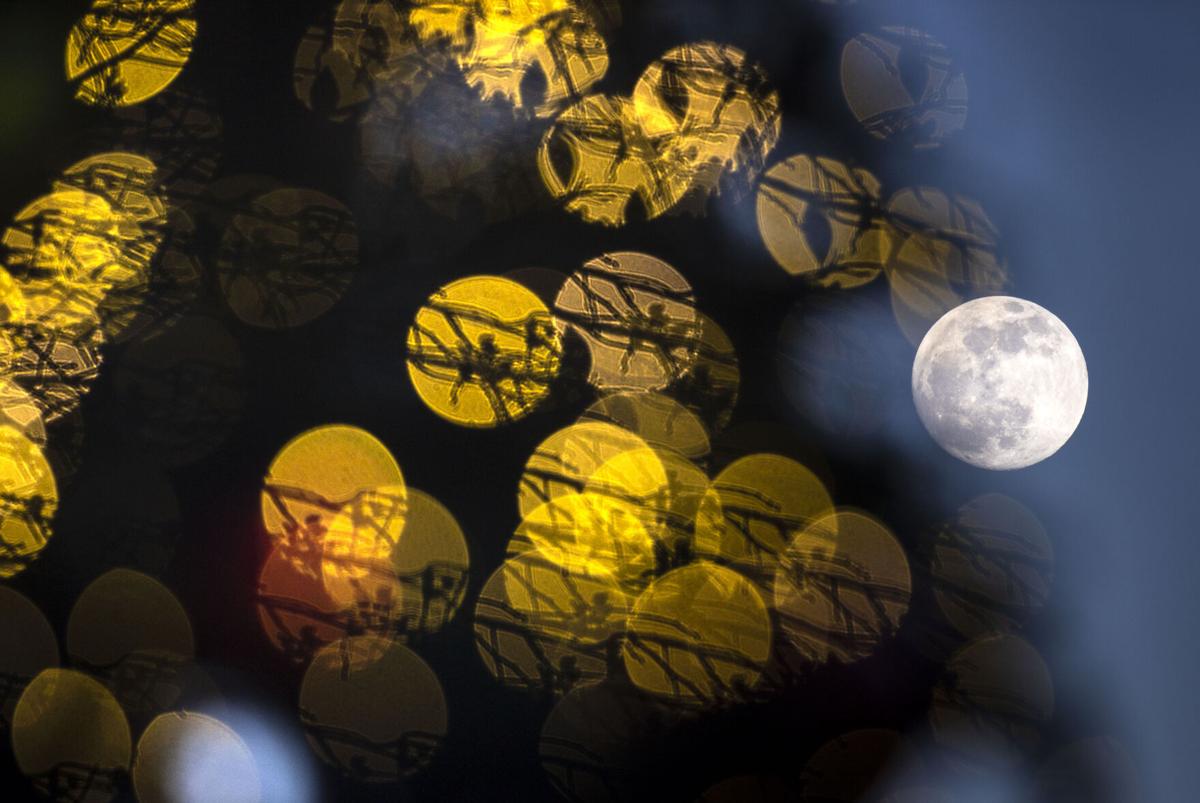 Moons online only05.JPG