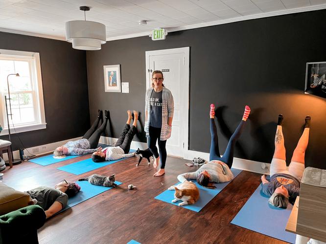 Just purr-fect: Mews and Brews helps felines find forever homes