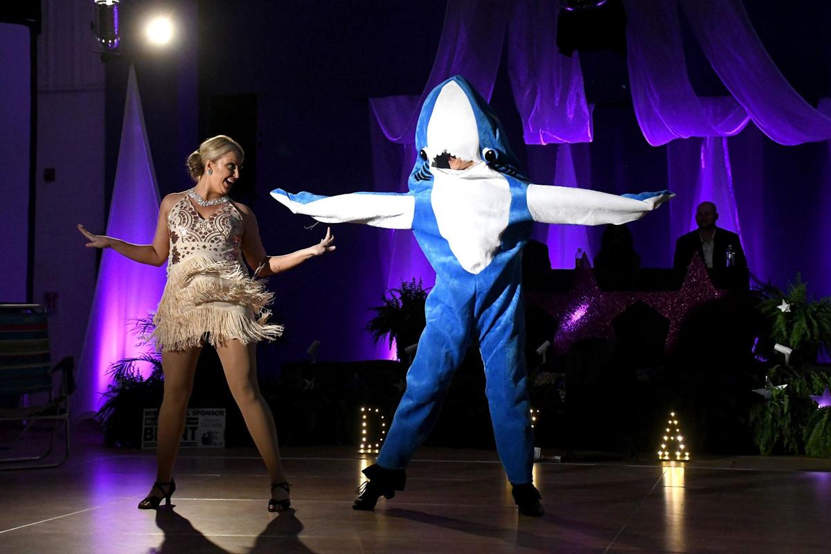 Dancing With the Ark Stars 2020