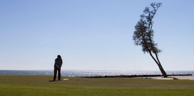 Bankrupt Melrose Resort On Daufuskie Island Could Go To