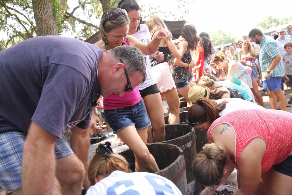 Grape Stomping Festival