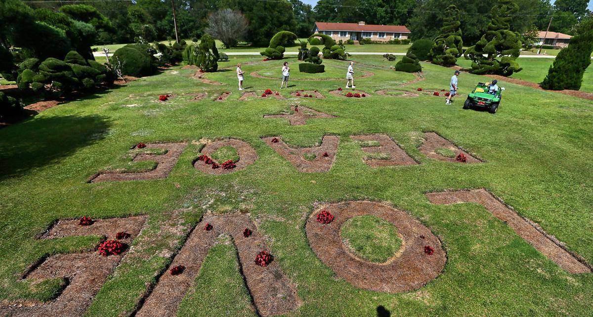 At 77, South Carolina's topiary legend Pearl Fryar is slowing down, but