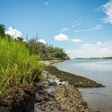 Shellfish harvesting season closes May 27 - Vimarsana News