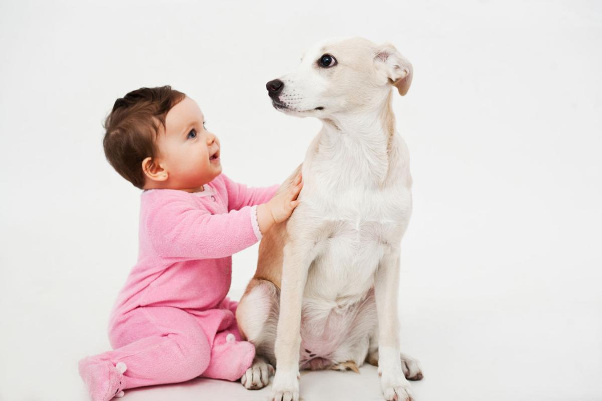 Unique pet names Unique pet names