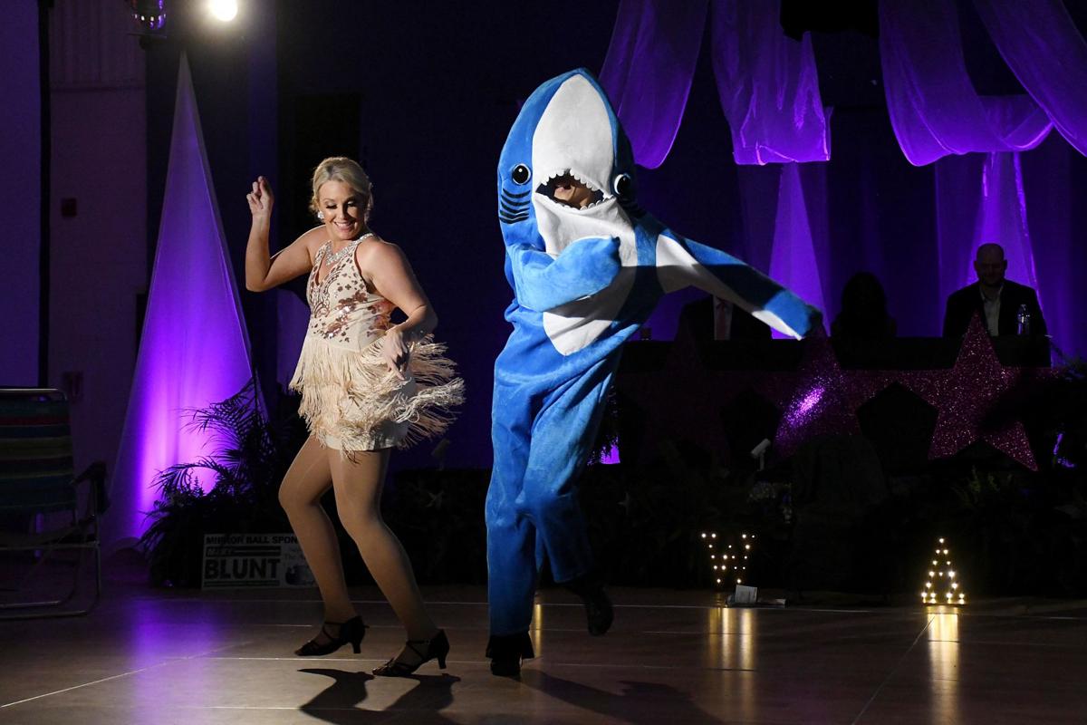 Dancing With the Ark Stars 2020
