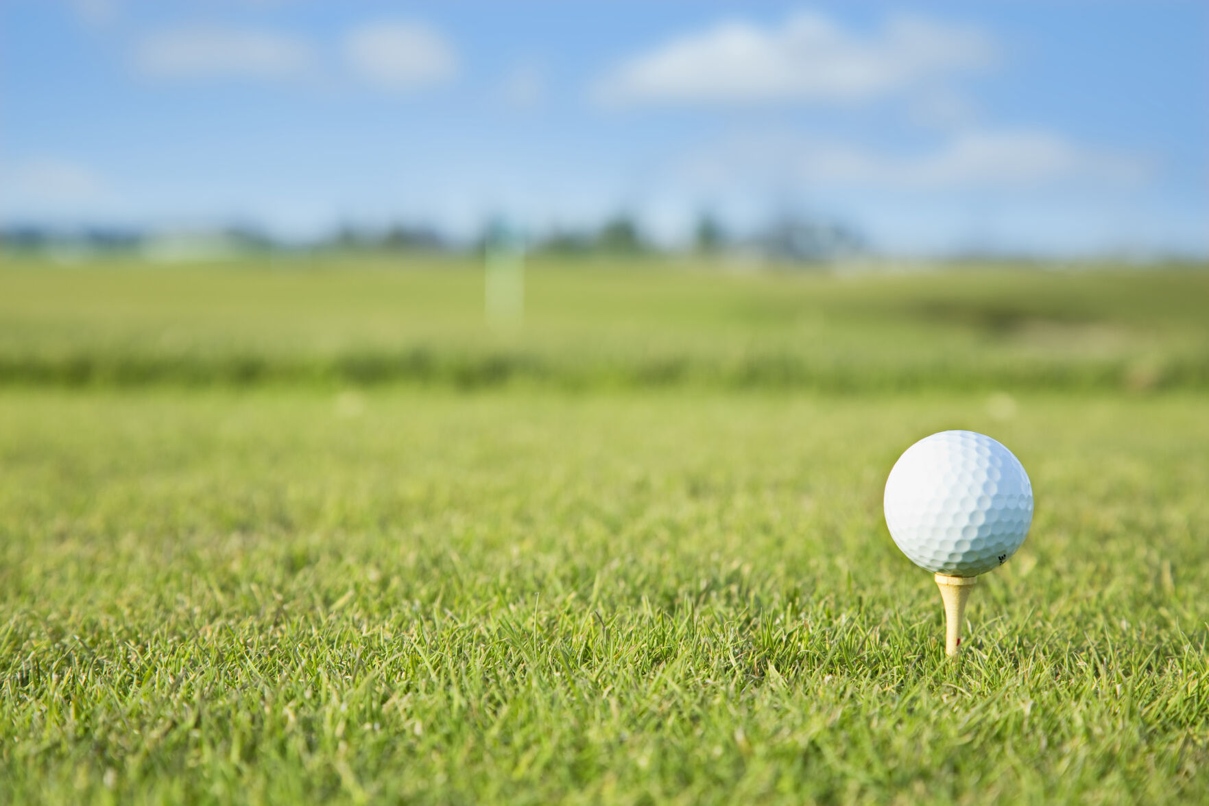 WSGAs 37th Senior Amateur set for Oct