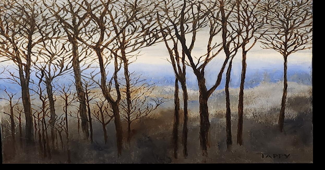 ARTS AND HUMANITIES: Aiken Center for the Arts show features landscapes