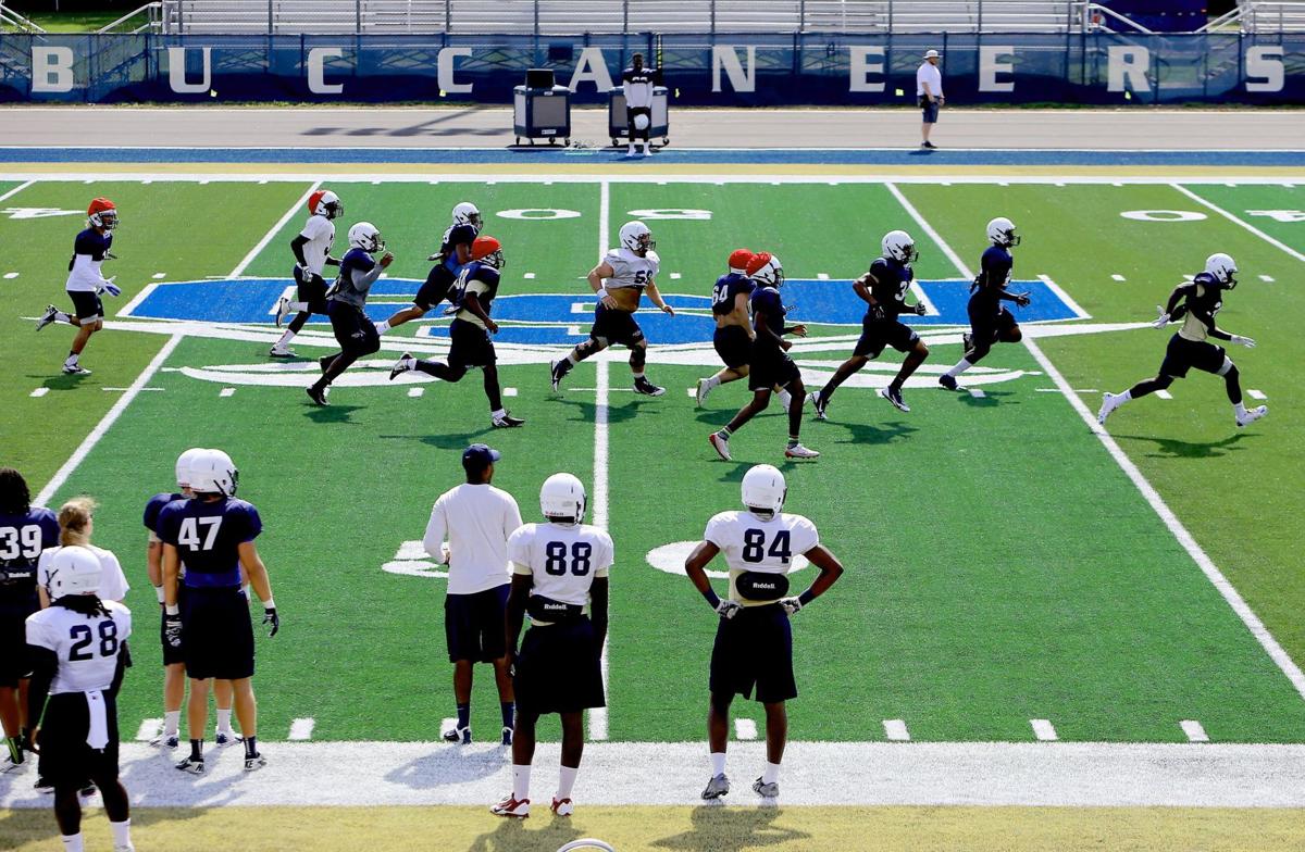 CSU New Turf