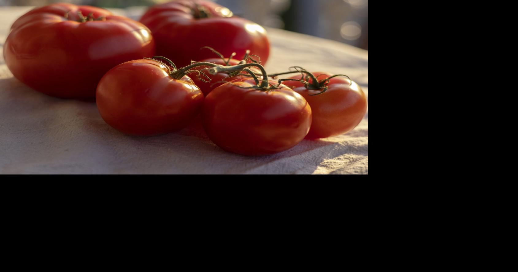 Restaurants squeezed by rising costs of tomatoes and grocery bills