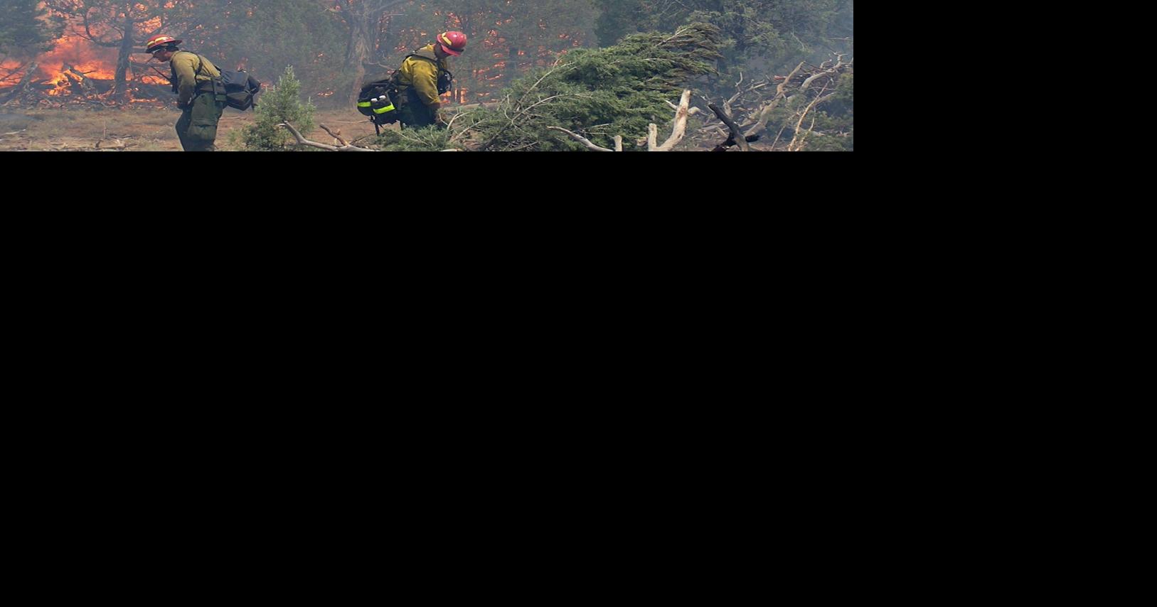 Wildland firefighters face higher death, injury risk as wildfires grow