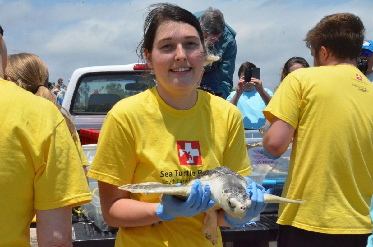SC Aquarium releases six rehabbed sea turtles