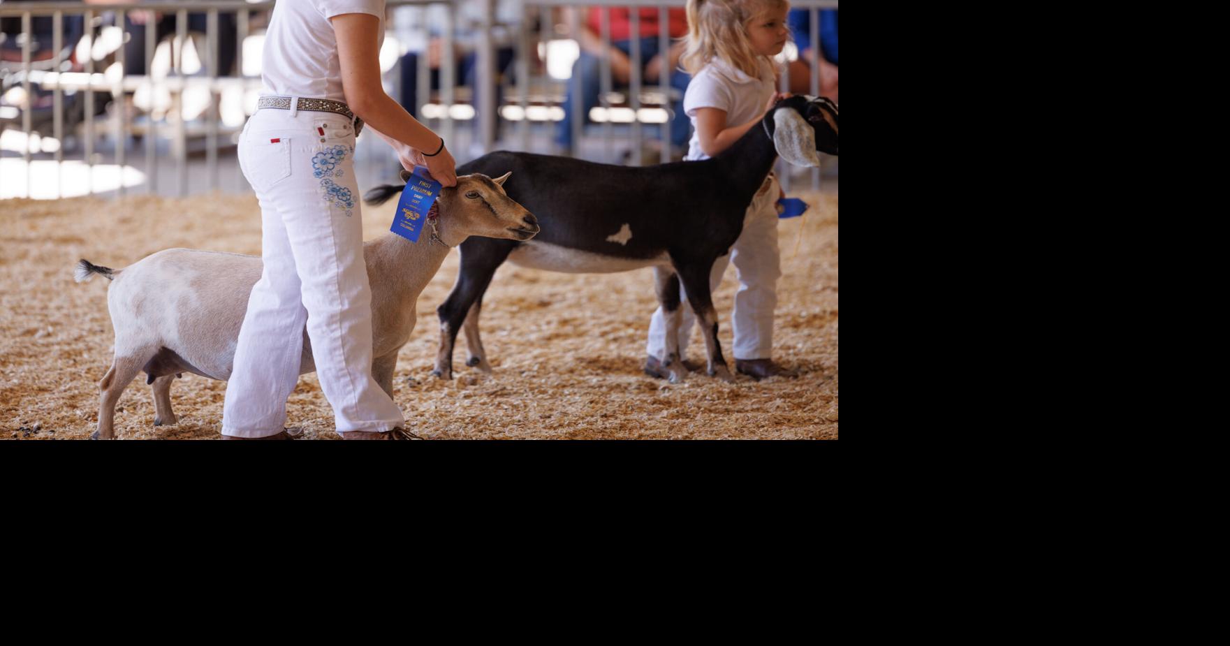 Entries are now open for the South Carolina State Fair’s 2025 competitive exhibits