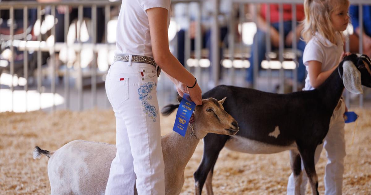 Entries are now open for the South Carolina State Fair’s 2025 competitive exhibits