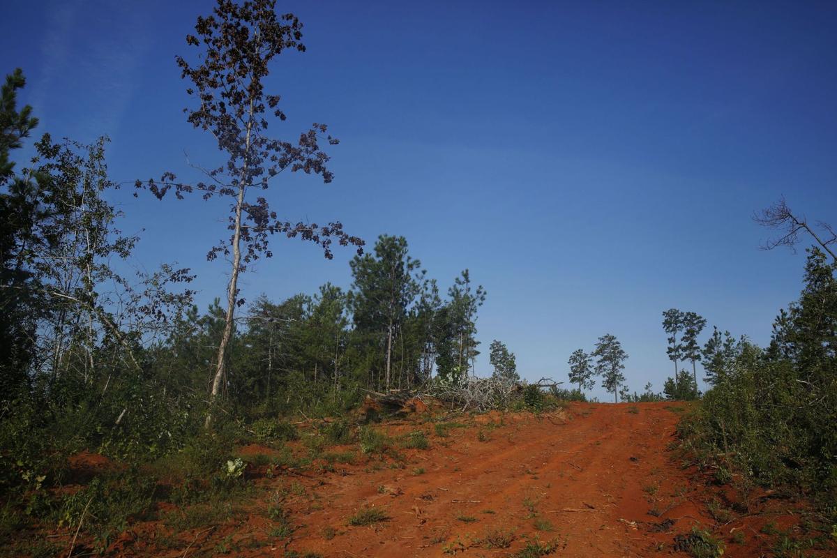 Five S.C. Children Found Dead