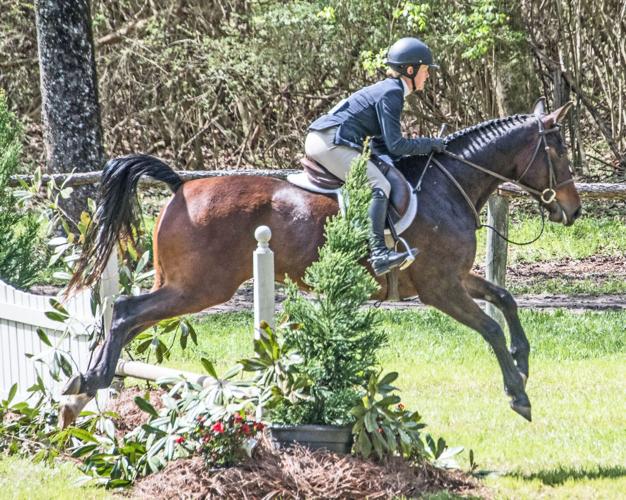 Aiken Horse Show offers unique setting, fun to watch classes and