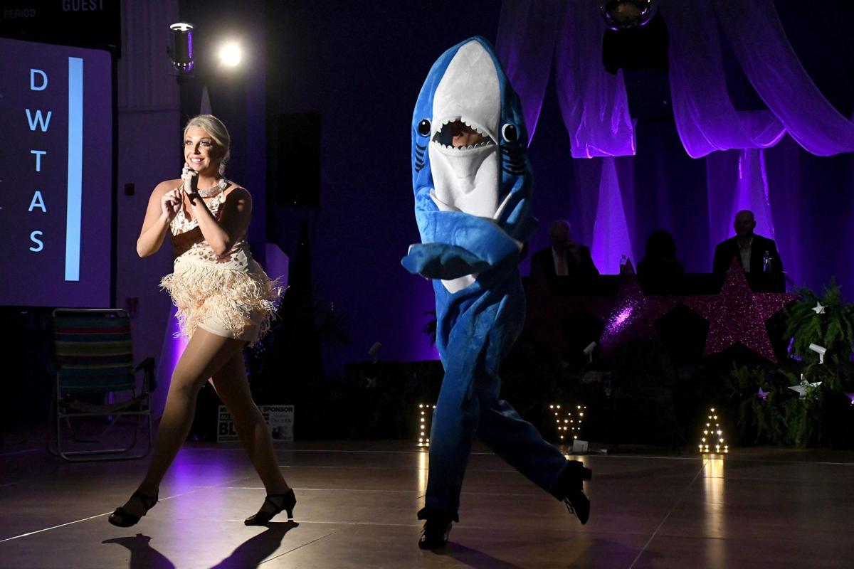 Dancing With the Ark Stars 2020