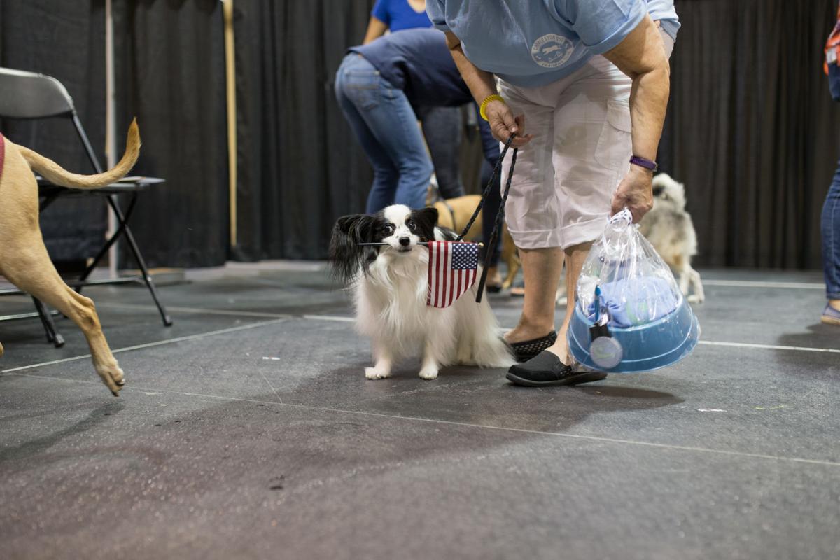 Pet Expo-October 14, 2017-387