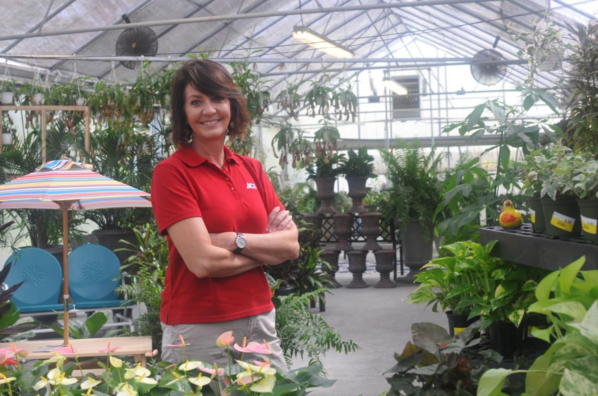 Wood S Ace Hardware Growing Into A One Stop Shop News