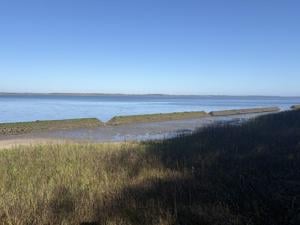 4.10.26 - Build 19 - Broad River shoreline - by Nicole Pehl (TNC).jpeg